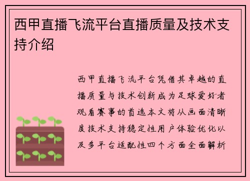 西甲直播飞流平台直播质量及技术支持介绍
