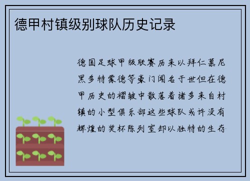 德甲村镇级别球队历史记录